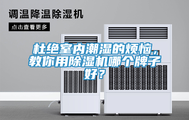杜絕室內潮濕的煩惱，教你用91看片网站哪個牌子好？