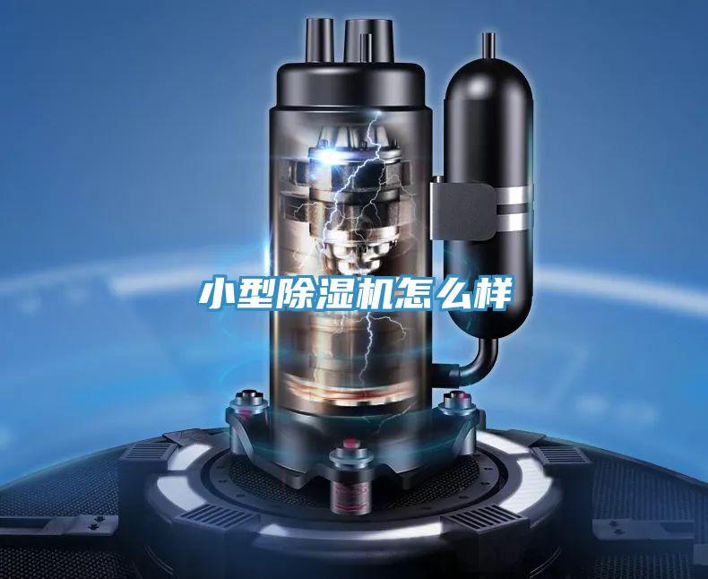 小型91看片网站怎麽樣
