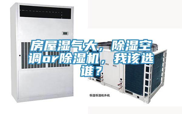 房屋濕氣大，除濕空調or91看片网站，我該選誰？