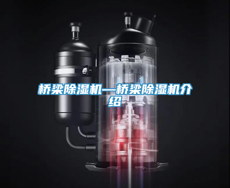 橋梁91看片网站—橋梁91看片网站介紹