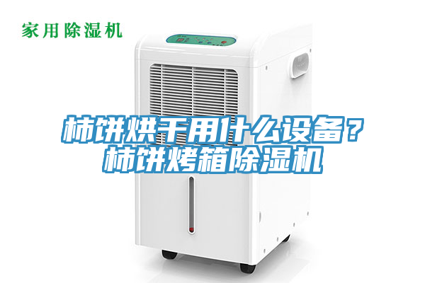 柿餅烘幹用什麽設備？柿餅烤箱91看片网站