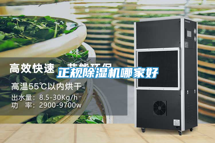 正規91看片网站哪家好