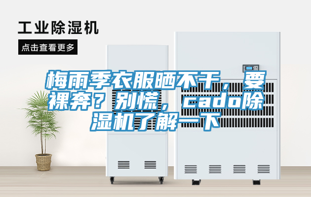 梅雨季衣服曬不幹，要裸奔？別慌，cado91看片网站了解一下