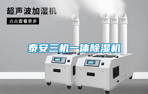 泰安三機一體91看片网站