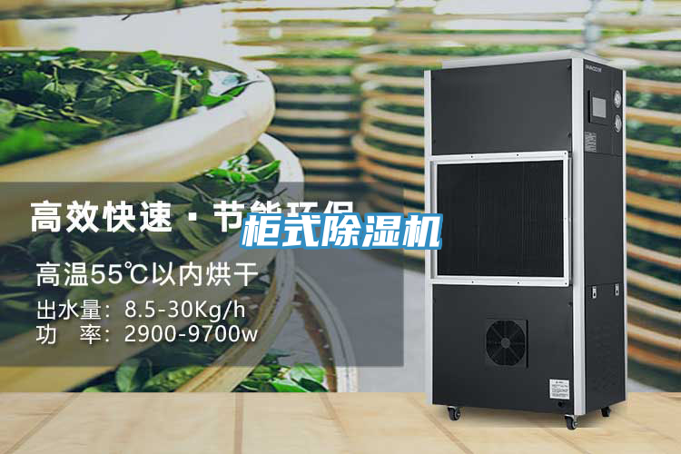 櫃式91看片网站
