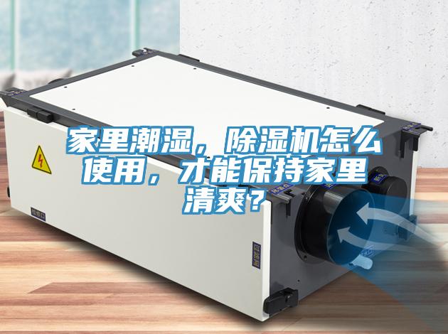 家裏潮濕，91看片网站怎麽使用，才能保持家裏清爽？