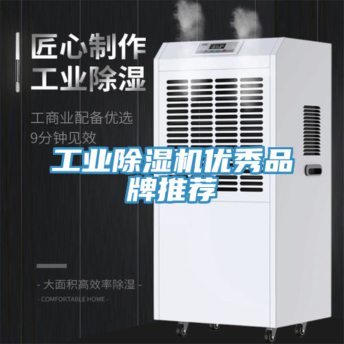 工業91看片网站優秀品牌推薦