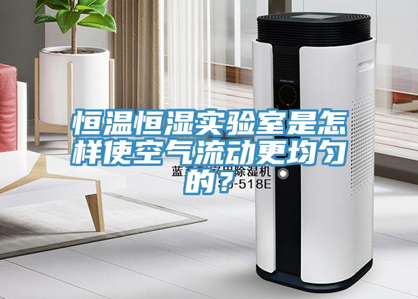 恒溫恒濕實驗室是怎樣使空氣流動更均勻的？