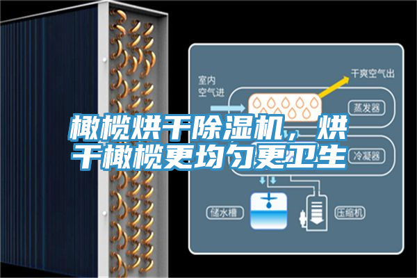 橄欖烘幹91看片网站，烘幹橄欖更均勻更衛生