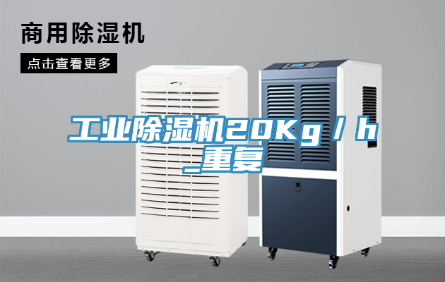 工業91看片网站20Kg／h_重複