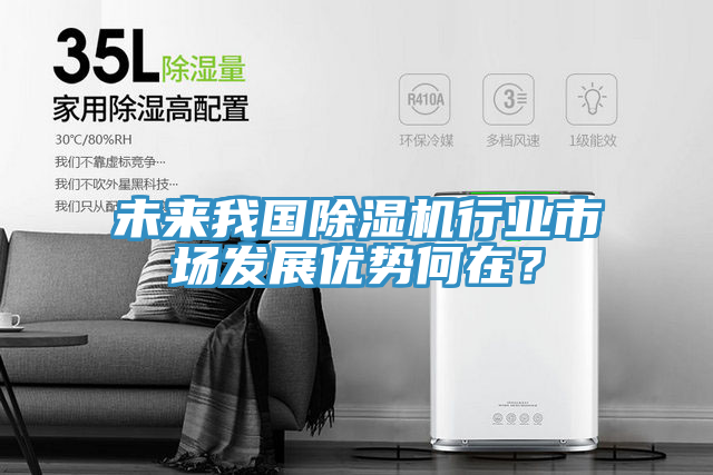 未來我國91看片网站行業市場發展優勢何在？