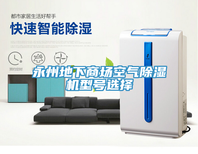 永州地下商場空氣91看片网站型號選擇