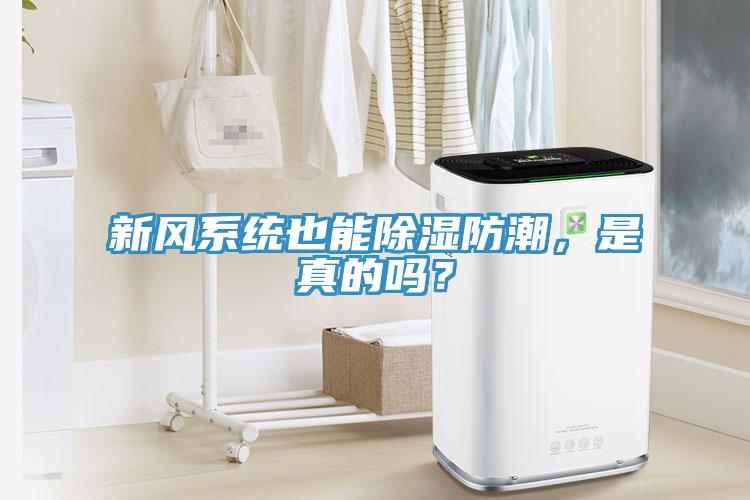 新風係統也能除濕防潮，是真的嗎？