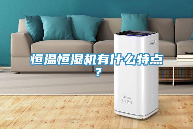 恒溫恒濕機有什麽特點？