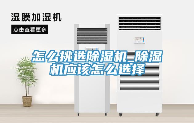 怎麽挑選91看片网站_91看片网站應該怎麽選擇
