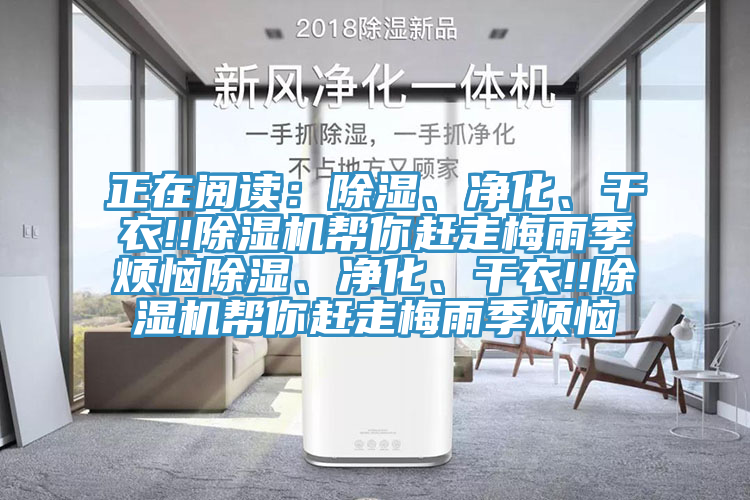 正在閱讀：除濕、淨化、幹衣!!91看片网站幫你趕走梅雨季煩惱除濕、淨化、幹衣!!91看片网站幫你趕走梅雨季煩惱