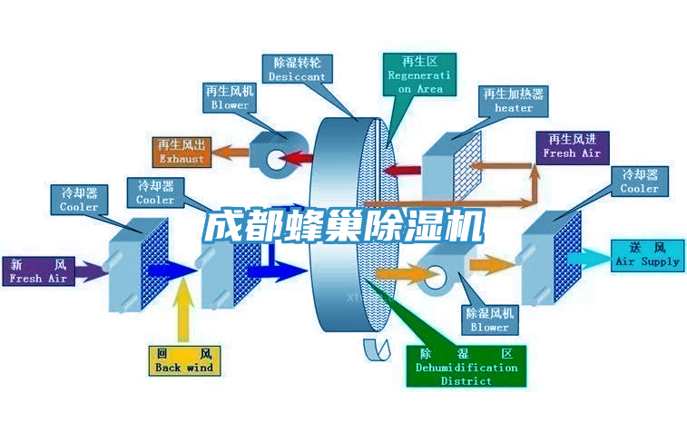 成都蜂巢91看片网站