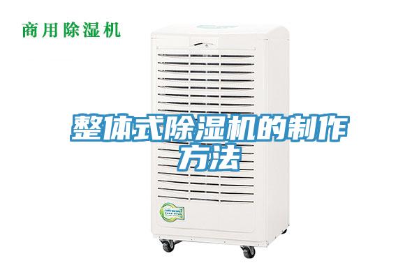 整體式91看片网站的製作方法