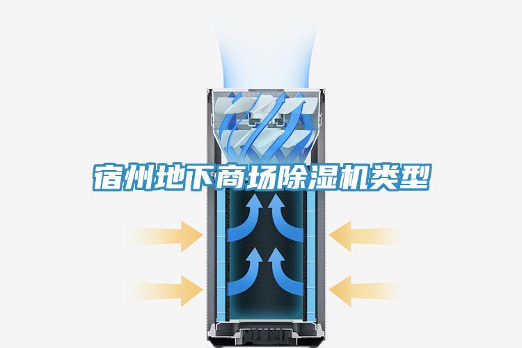 宿州地下商場91看片网站類型