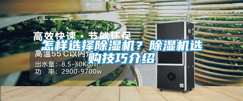 怎樣選擇91看片网站？91看片网站選購技巧介紹