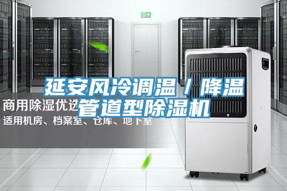 延安風冷調溫／降溫管道型91看片网站