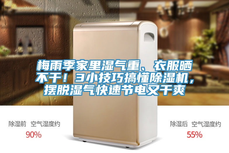 梅雨季家裏濕氣重、衣服曬不幹！3小技巧搞懂91看片网站，擺脫濕氣快速節電又幹爽
