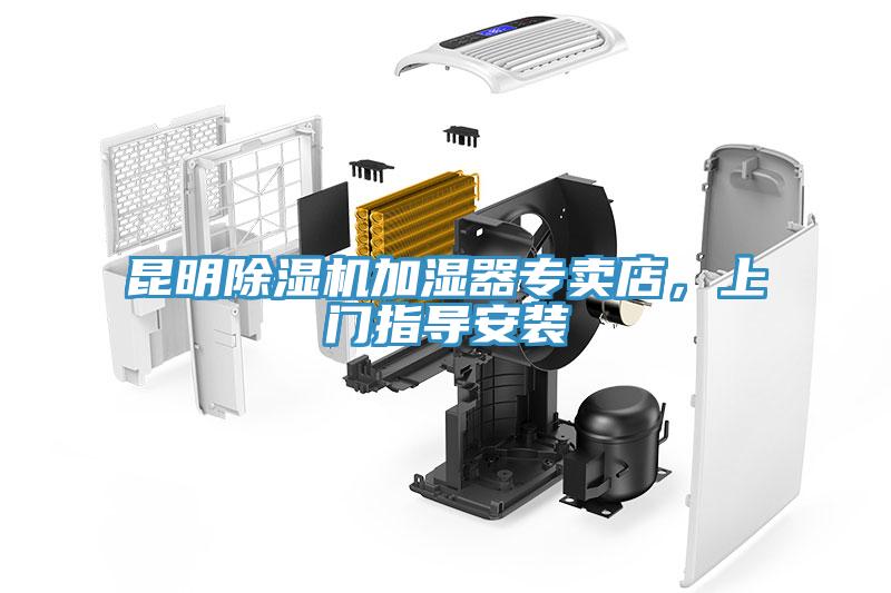 昆明91看片网站加濕器專賣店，上門指導安裝