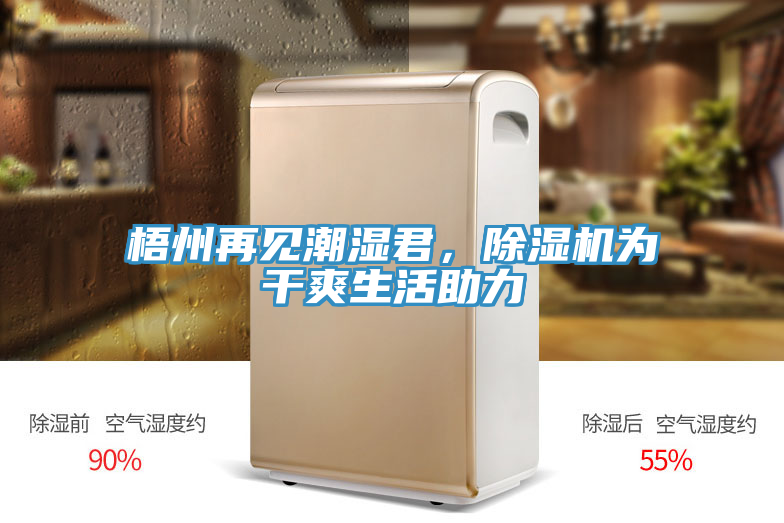 梧州再見潮濕君，91看片网站為幹爽生活助力
