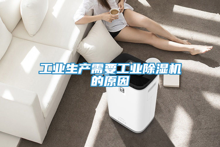 工業生產需要工業91看片网站的原因