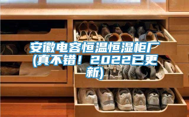 安徽電容恒溫恒濕櫃廠(真不錯！2022已更新)