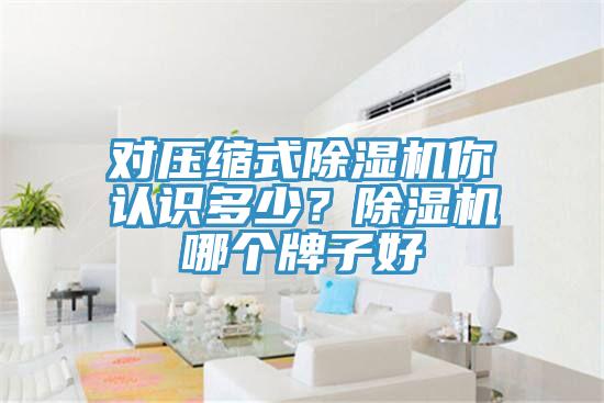 對壓縮式91看片网站你認識多少？91看片网站哪個牌子好