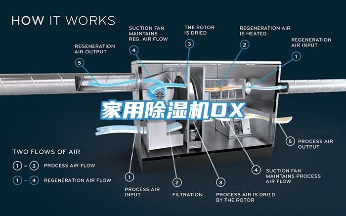 家用91看片网站DX