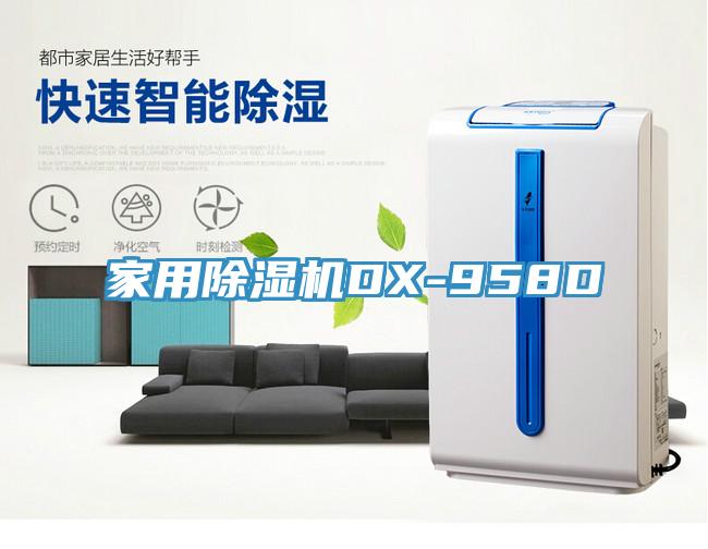 家用91看片网站DX-958D