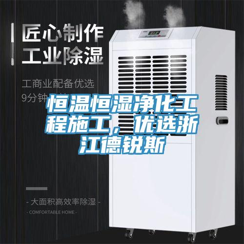 恒溫恒濕淨化工程施工，優選浙江德銳斯