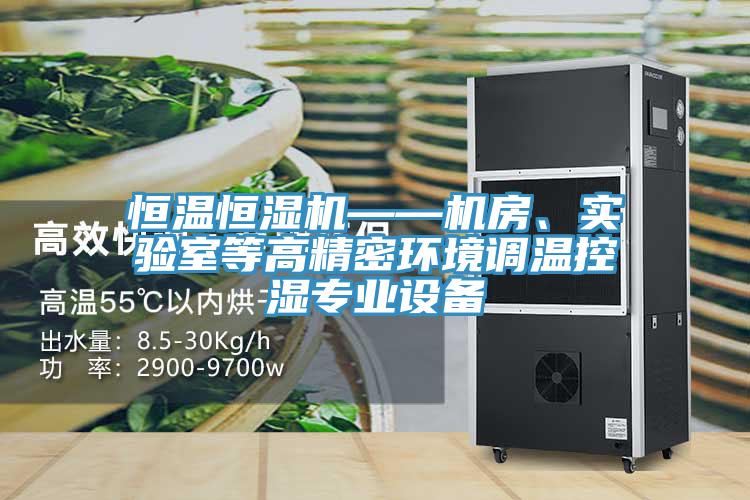 恒溫恒濕機——機房、實驗室等高精密環境調溫控濕專業設備