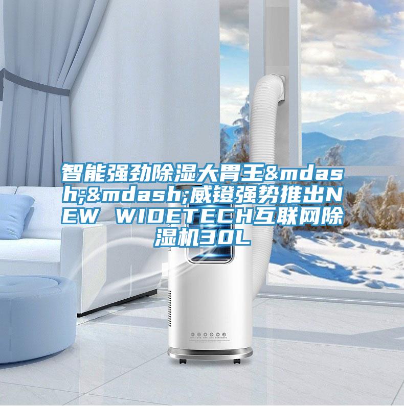 智能強勁除濕大胃王——威鐙強勢推出NEW WIDETECH互聯網91看片网站30L