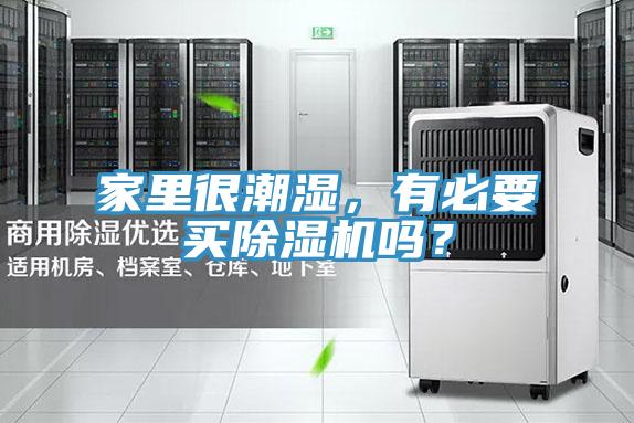 家裏很潮濕，有必要買91看片网站嗎？