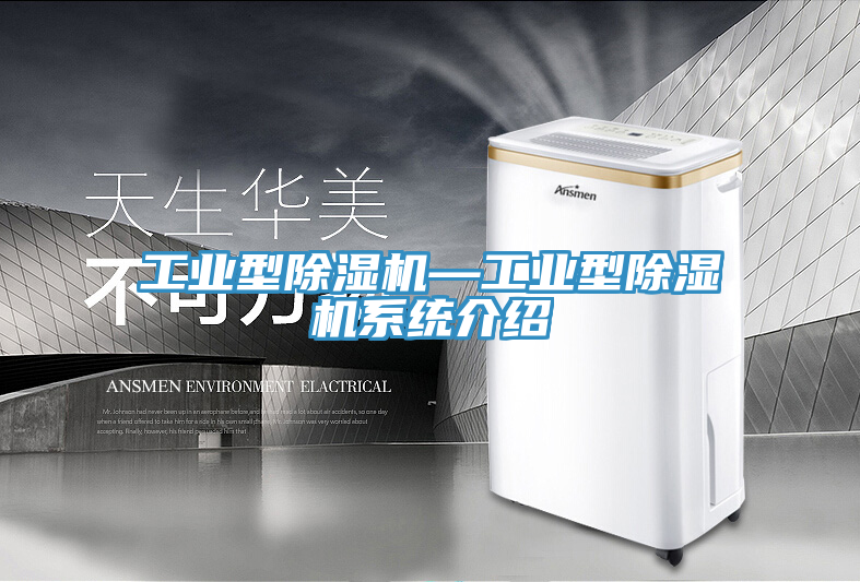 工業型91看片网站—工業型91看片网站係統介紹