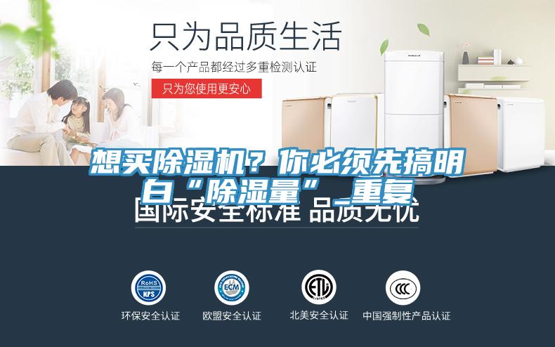 想買91看片网站？你必須先搞明白“除濕量”_重複