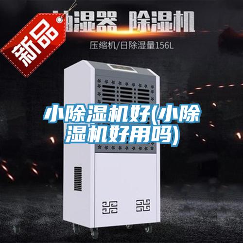 小91看片网站好(小91看片网站好用嗎)