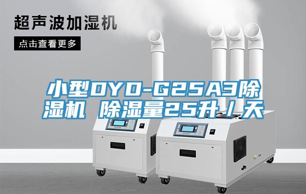 小型DYD-G25A391看片网站 除濕量25升／天