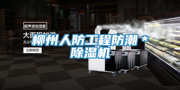 柳州人防工程防潮＊91看片网站