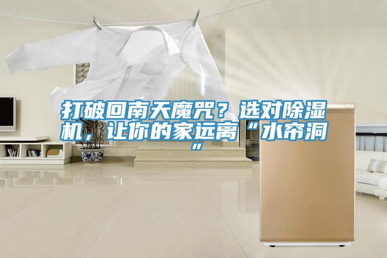 打破回南天魔咒？選對91看片网站，讓你的家遠離“水簾洞”