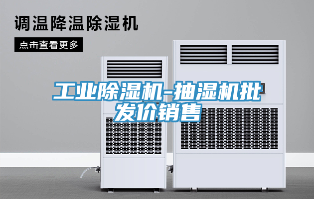 工業91看片网站-抽濕機批發價銷售