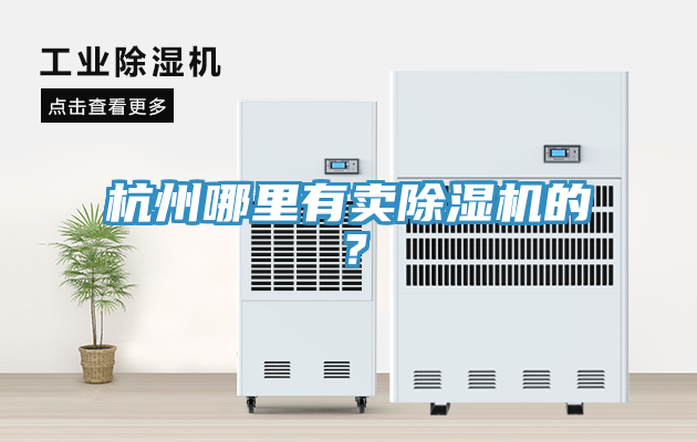 杭州哪裏有賣91看片网站的？