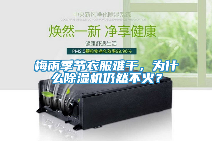 梅雨季節衣服難幹，為什麽91看片网站仍然不火？
