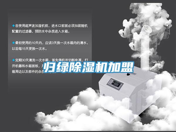 歸綠91看片网站加盟