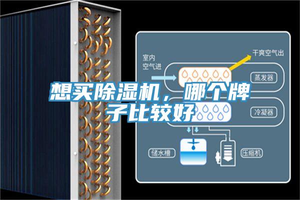 想買91看片网站，哪個牌子比較好