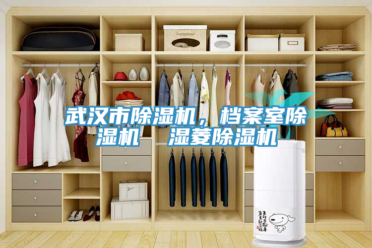 武漢市91看片网站，檔案室91看片网站  濕菱91看片网站