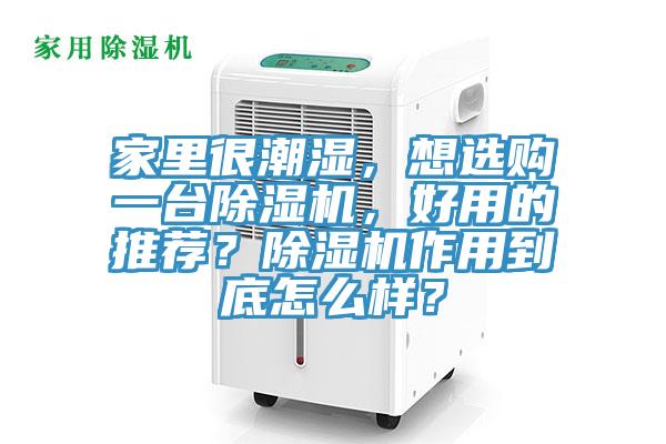 家裏很潮濕，想選購一台91看片网站，好用的推薦？91看片网站作用到底怎麽樣？